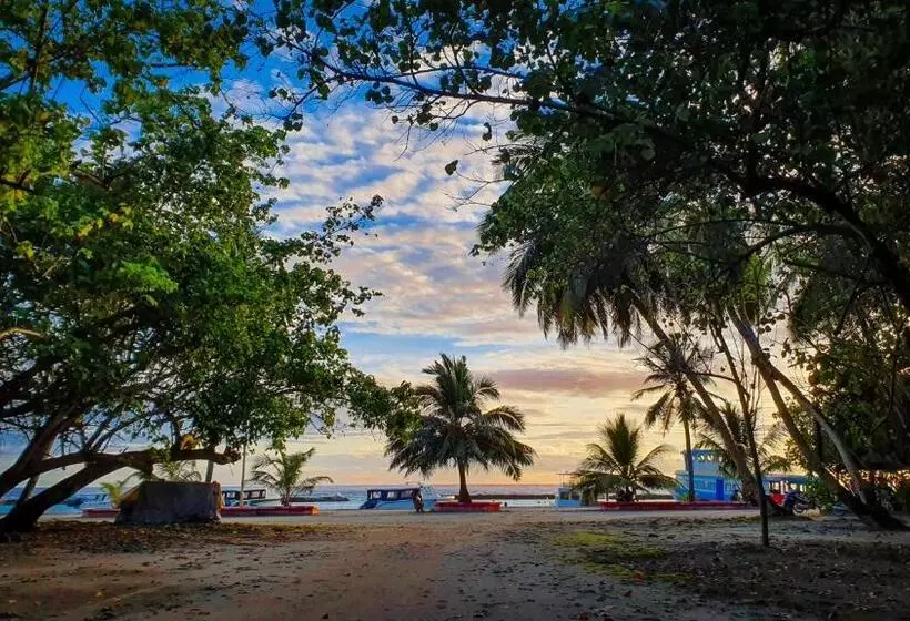 New Breeze Thoddoo Inn