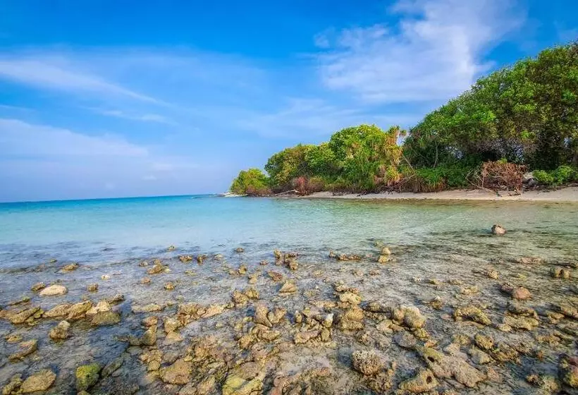 New Breeze Thoddoo Inn