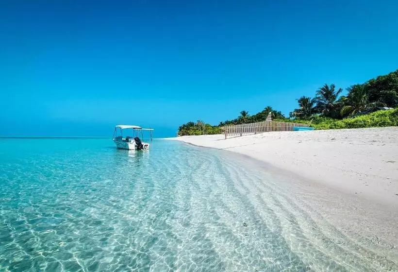 New Breeze Thoddoo Inn