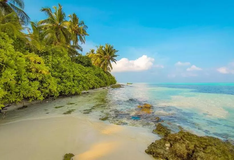 New Breeze Thoddoo Inn