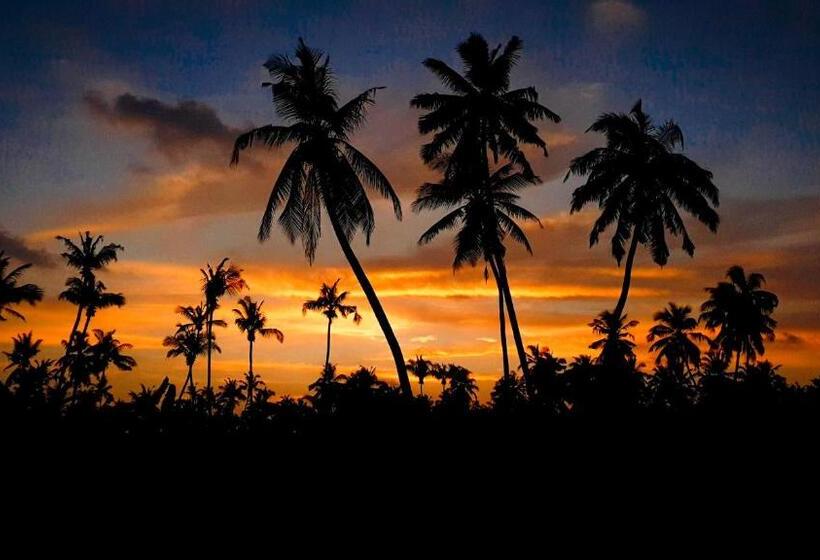 New Breeze Thoddoo Inn