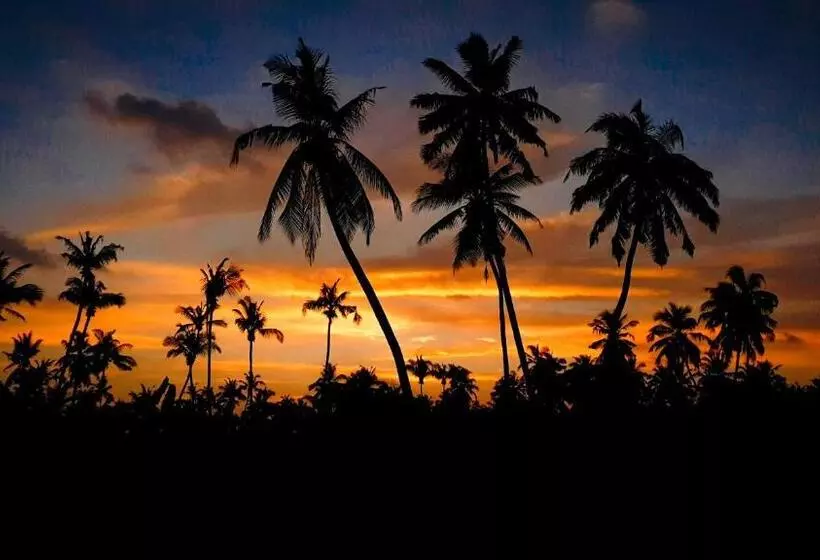 New Breeze Thoddoo Inn