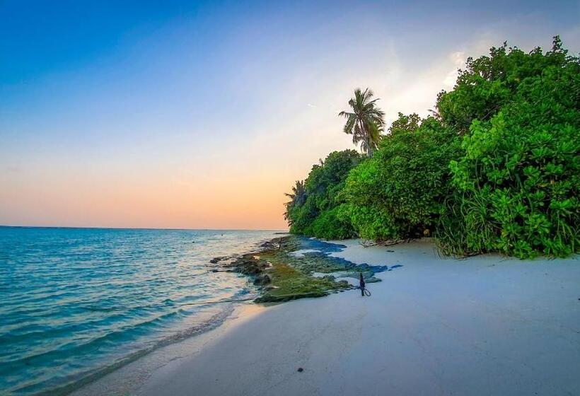 New Breeze Thoddoo Inn