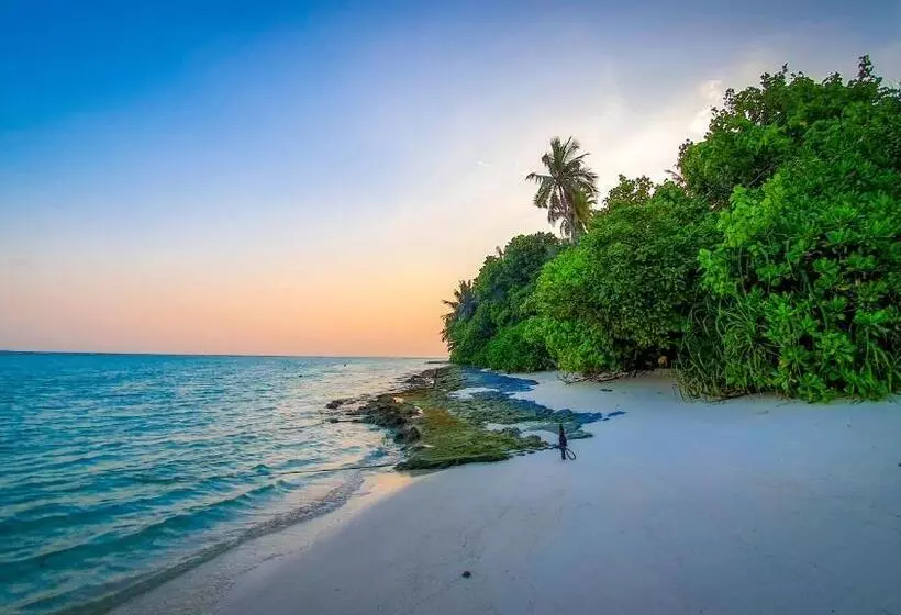 New Breeze Thoddoo Inn