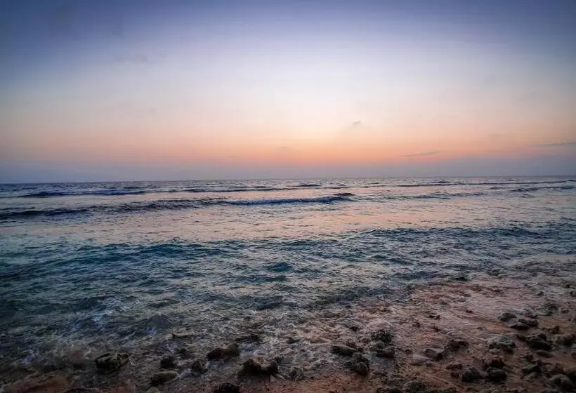 New Breeze Thoddoo Inn