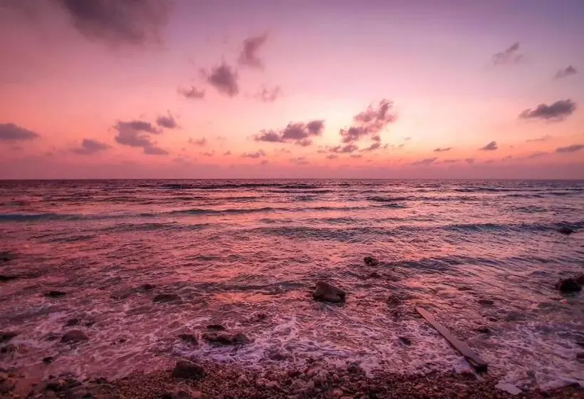 New Breeze Thoddoo Inn
