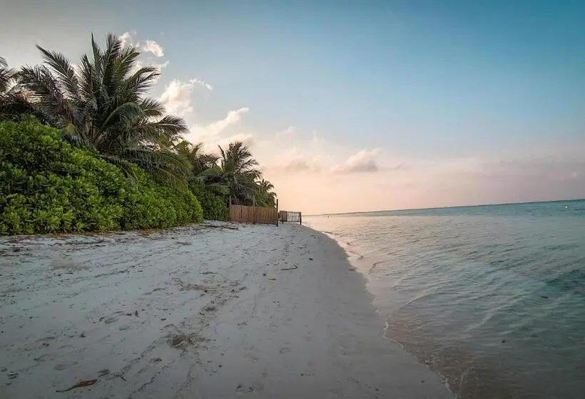 New Breeze Thoddoo Inn