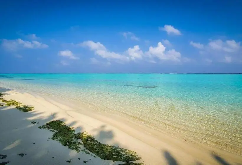 New Breeze Thoddoo Inn