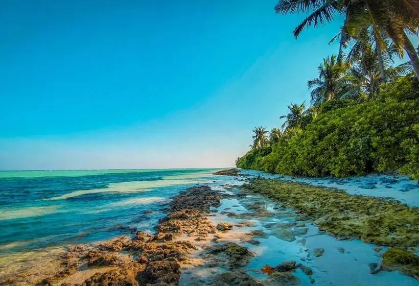 New Breeze Thoddoo Inn