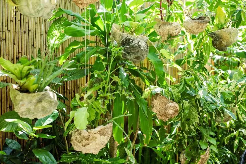 هتل Fenua Mata I Oa