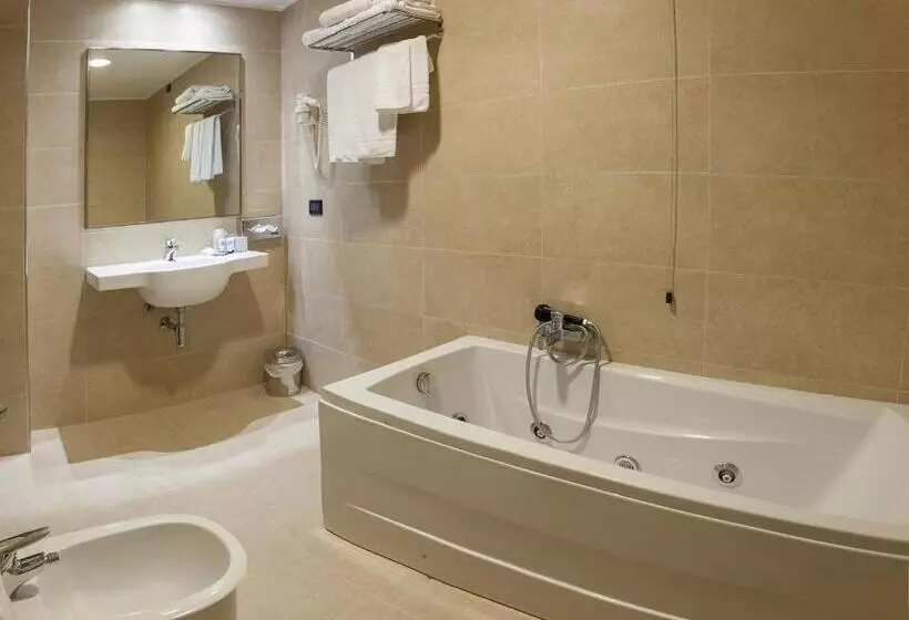 Отель Bv President