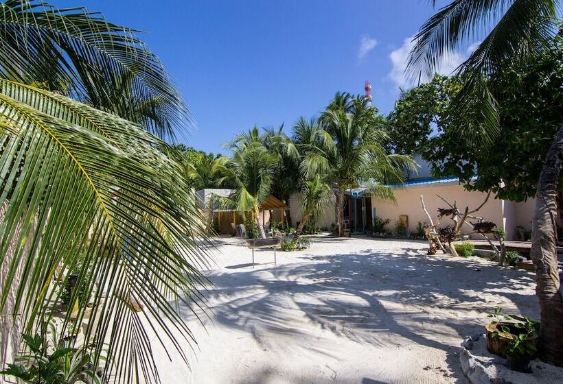 پانسیون Dream Coral