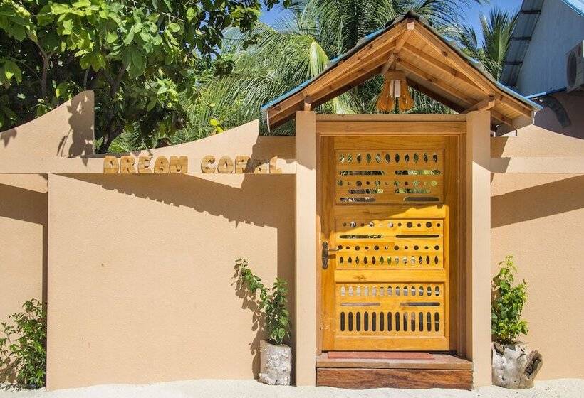 پانسیون Dream Coral