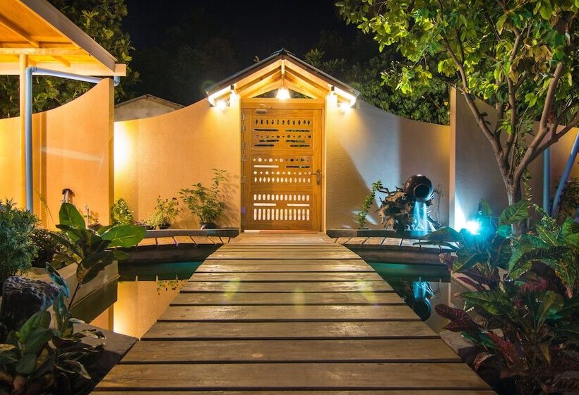 پانسیون Dream Coral