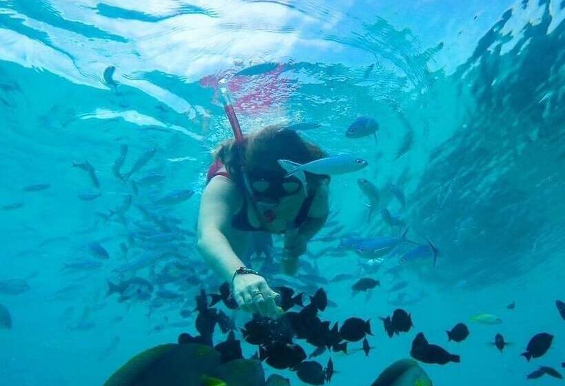 Hotel The White Sand Dunes Rasdhoo