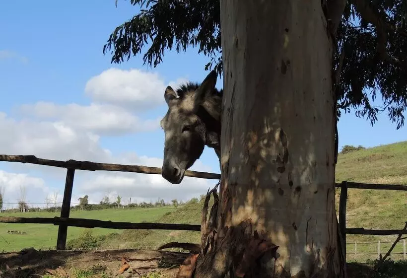Отель Country Relais I Due Laghi