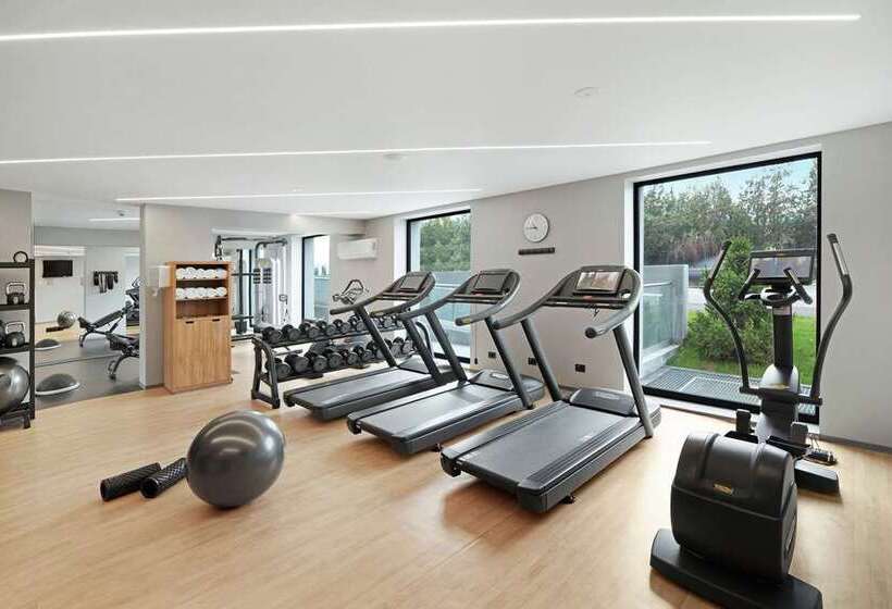 هتل Hilton Garden Inn Bucharest Airport