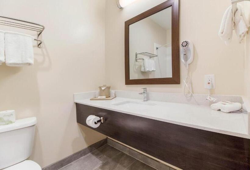 בית מלון כפרי Red Roof Inn Houston  Willowbrook