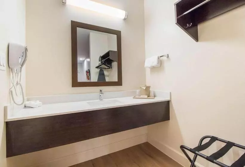 Hotelli Red Roof Inn Houston  Willowbrook