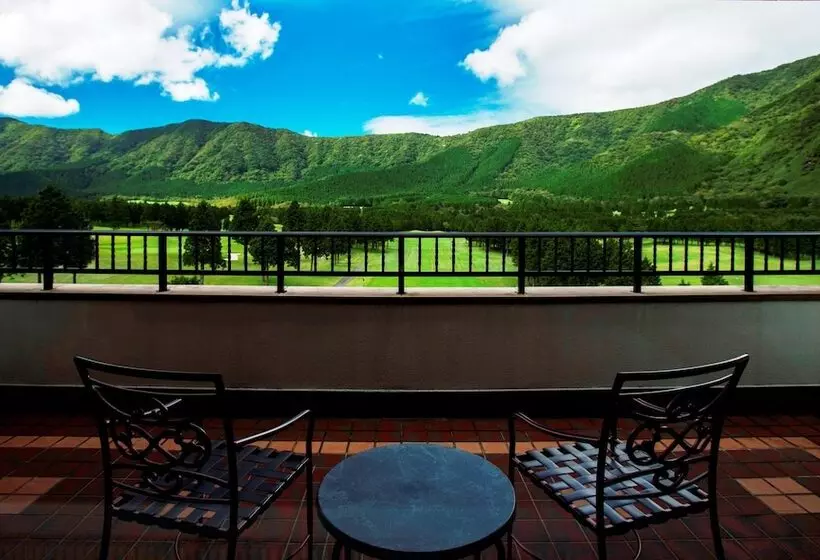 Отель Hakone Sengokuhara Prince