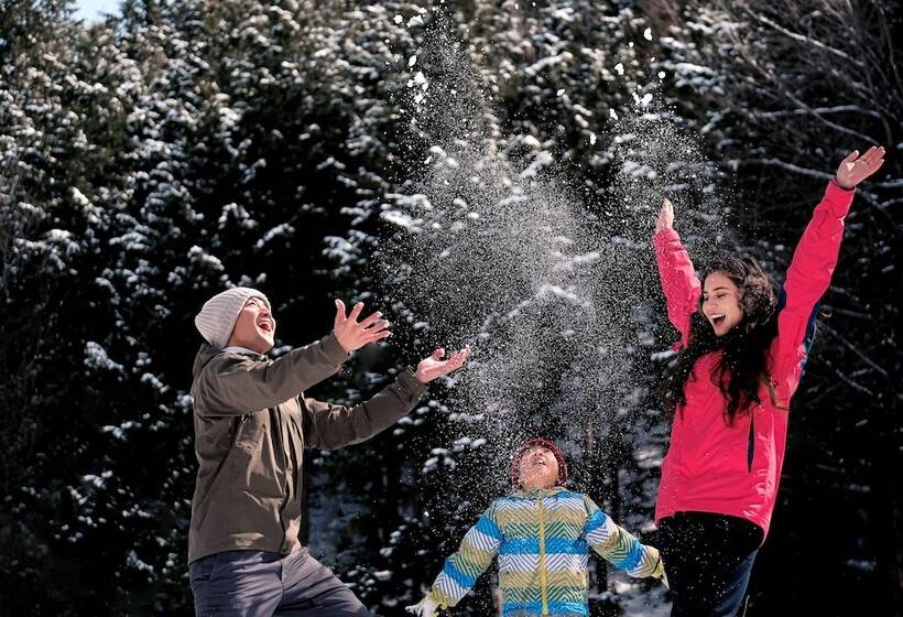 فندق Kuroyon Royal