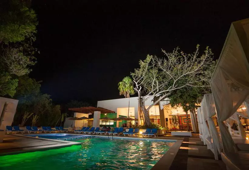 酒店 Oasis Tulum Lite