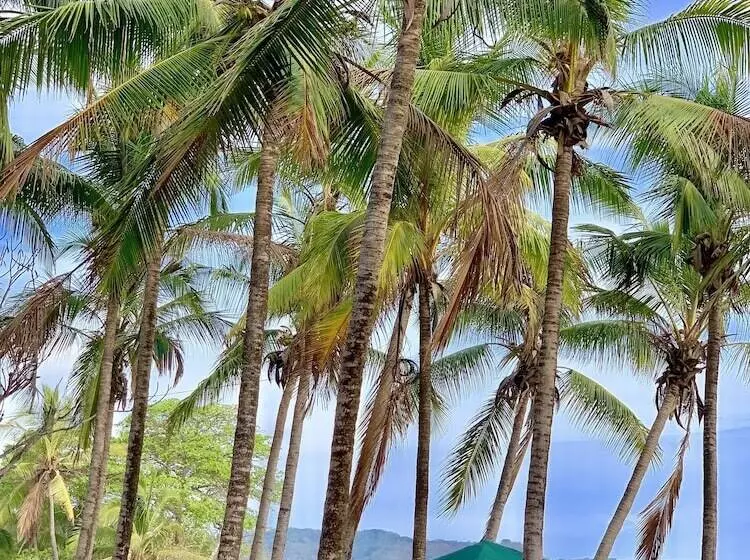 ホテル Banana Beach