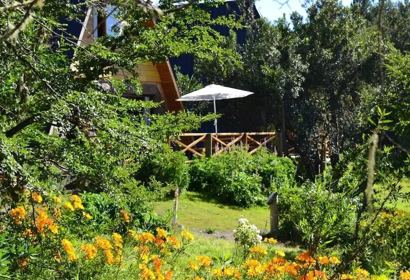 Hotelli Caren   Cabanas & Suites
