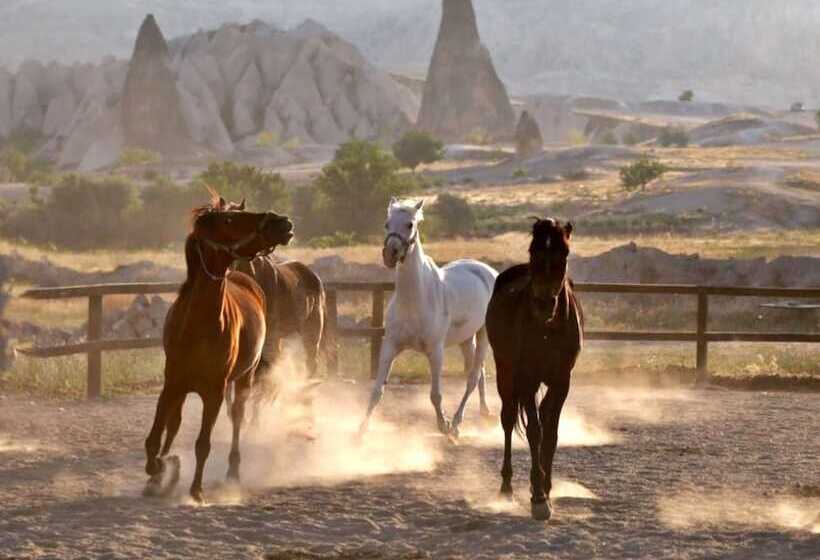 فندق Hanımkız Konagi