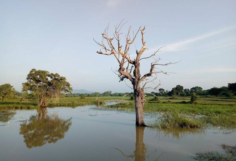 ホテル Jungle House Yala