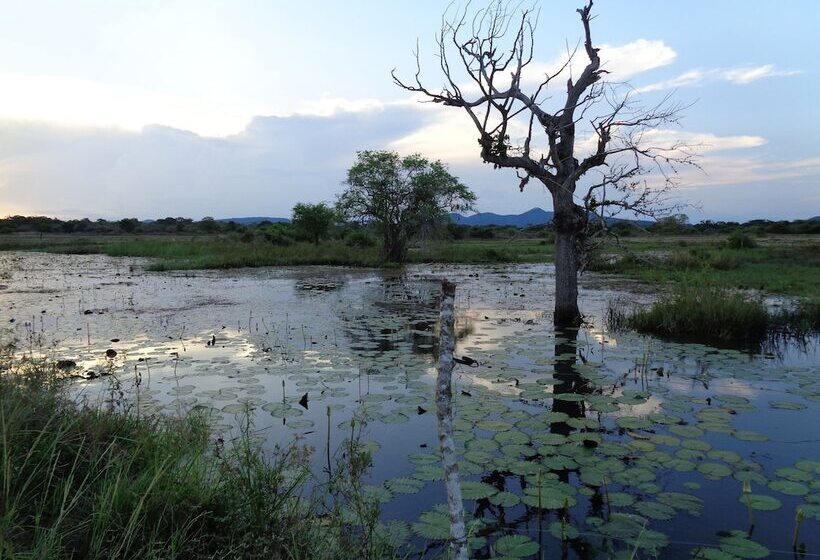 ホテル Jungle House Yala