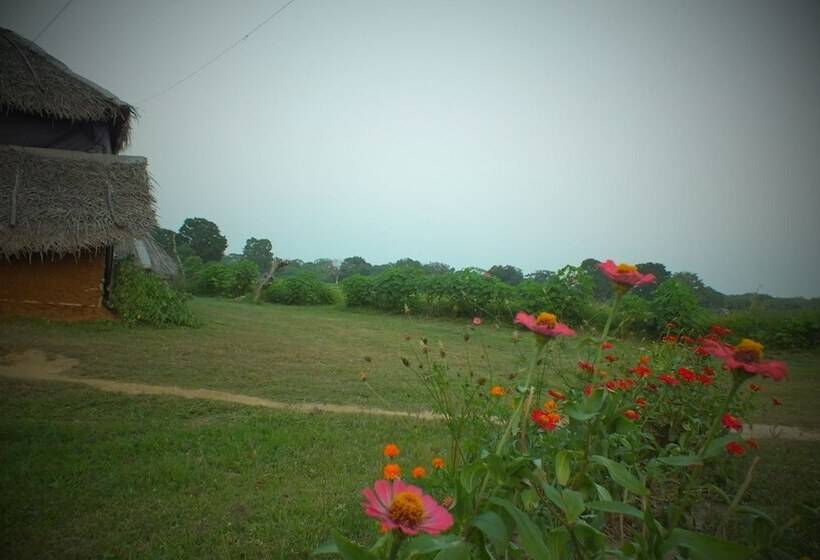 ホテル Jungle House Yala