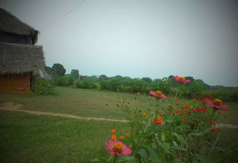 هتل Jungle House Yala