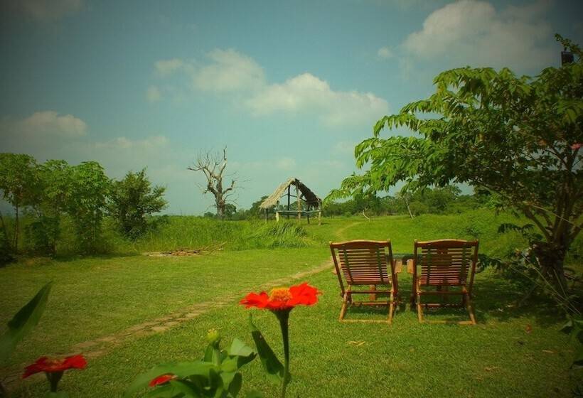 ホテル Jungle House Yala