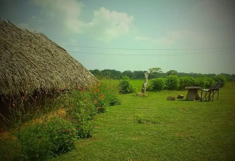 هتل Jungle House Yala
