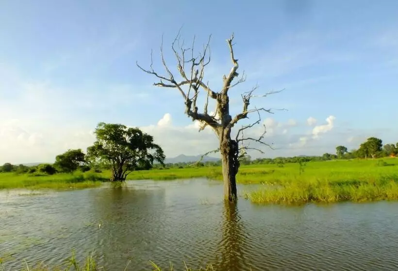 هتل Jungle House Yala