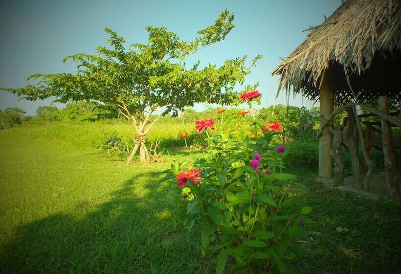 ホテル Jungle House Yala