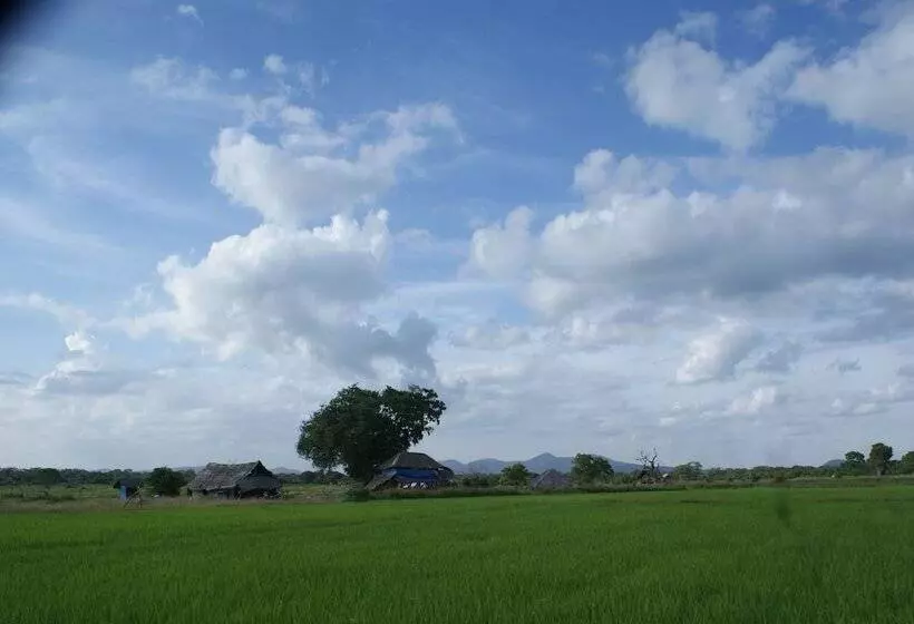هتل Jungle House Yala