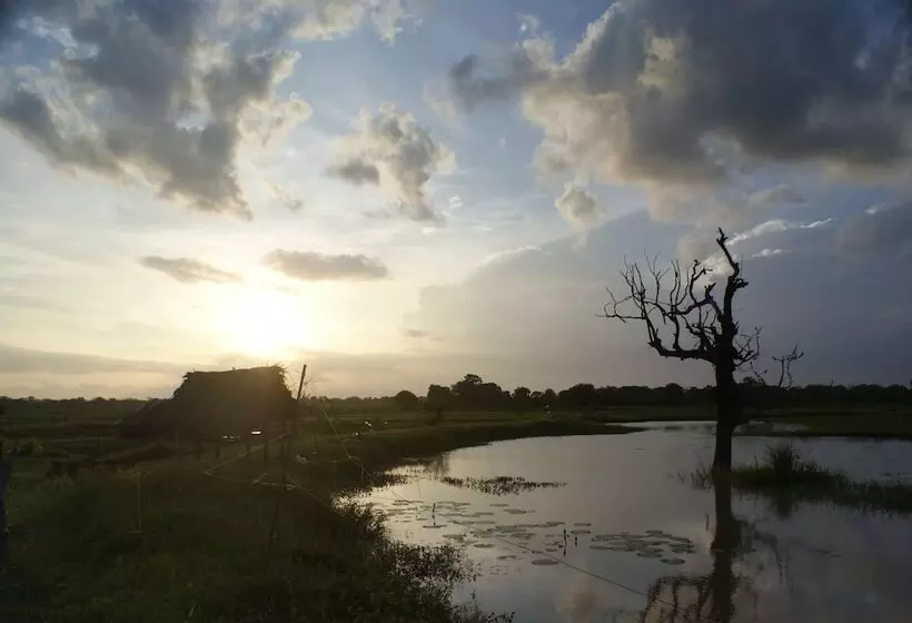 هتل Jungle House Yala