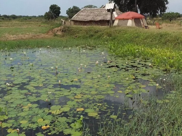 هتل Jungle House Yala