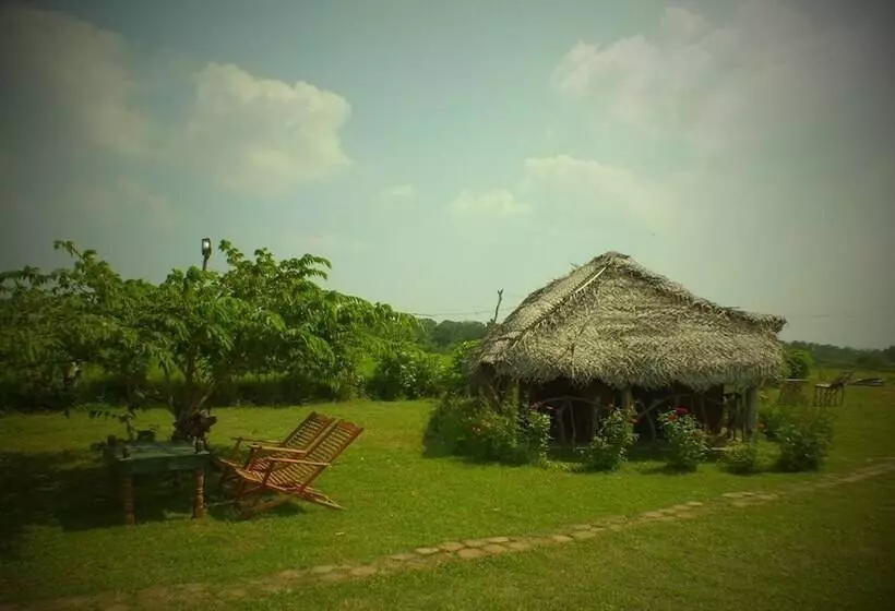 هتل Jungle House Yala
