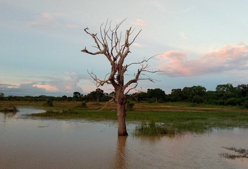 ホテル Jungle House Yala