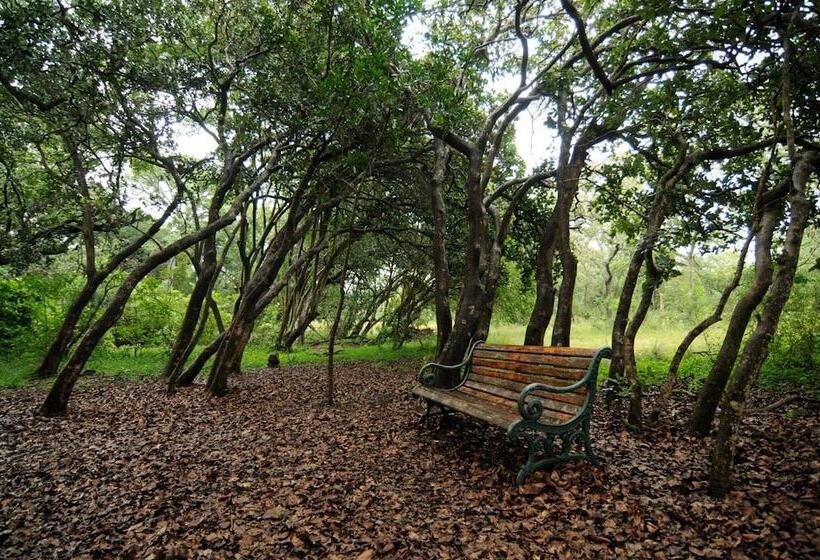 فندق Leshiba Mountain Retreats