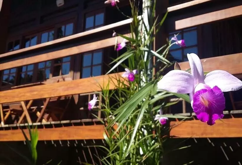 Hotelli Pousada Mata Nativa