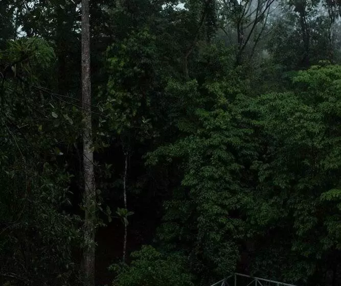 Hotelli Volcano Gold Loft