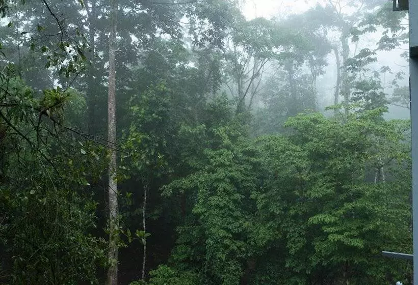 Hotelli Volcano Gold Loft