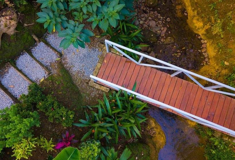 هتل Volcano Gold Loft