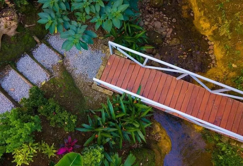 Hotelli Volcano Gold Loft