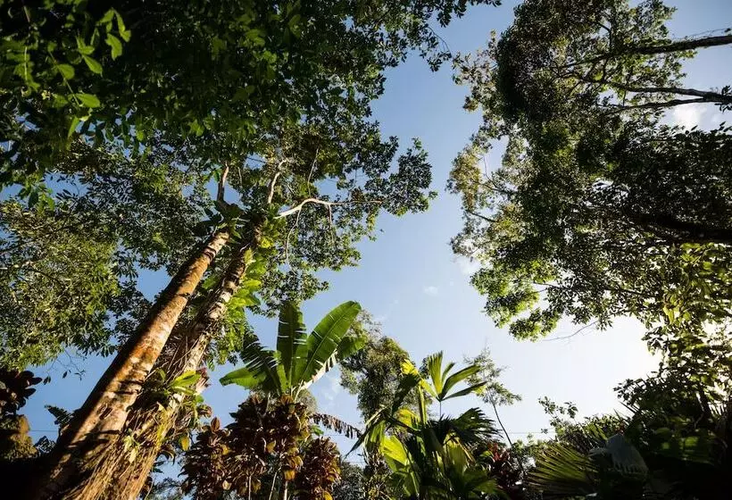 Hotelli Volcano Gold Loft