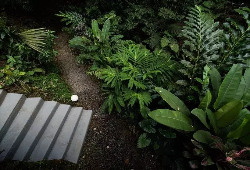 Hotelli Volcano Gold Loft